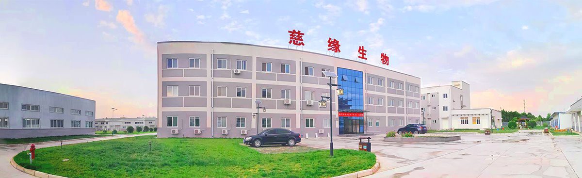 Chasteberry Fruit Powder factory.jpg